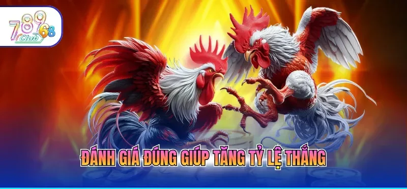 Cách Chơi Đá Gà Online Giúp Người Mới Dễ Dàng Làm Quen 4 Đánh giá đúng giúp tăng tỷ lệ thắng